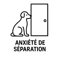 Fleur de Bach n°103 – Sérénité & confiance (anciennement « Anxiété de séparation du chien ») – Mélange avec Biofloral.
