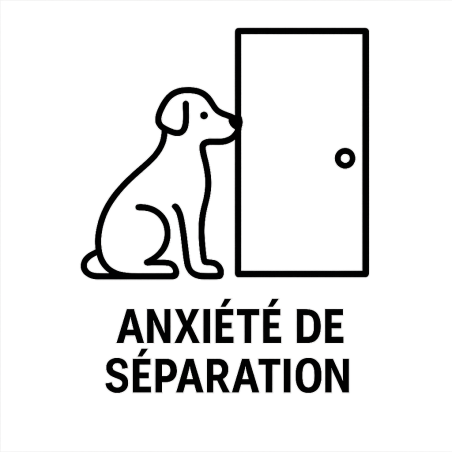 Fleur de Bach n°103 – Sérénité & confiance (anciennement « Anxiété de séparation du chien ») – Mélange avec Biofloral.