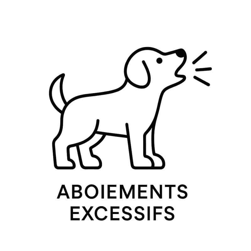 Fleur de Bach n°101 – Calme & maîtrise (anciennement « Aboiements excessifs du chien ») – Mélange avec Biofloral.