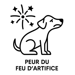 Fleur de Bach n°100 : Peur du feu d’artifice chez les chiens (mélange avec Biofloral)