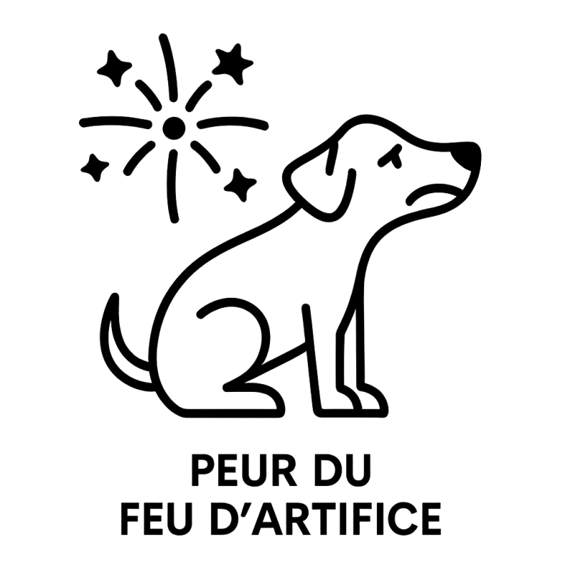 Fleur de Bach n°100 : Peur du feu d’artifice chez les chiens (mélange avec Biofloral)