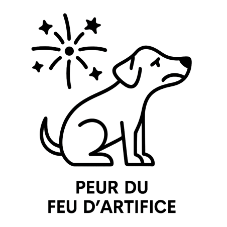 Fleur de Bach n°100 : Peur du feu d’artifice chez les chiens (mélange avec Biofloral)