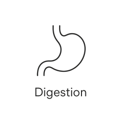 Fleur de Bach n°75 – Digestion & acceptation intérieure (anciennement « Digestion »)