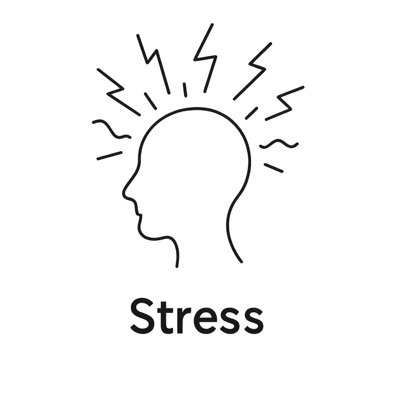 Fleur de Bach n°71 – Stress & équilibre intérieur (anciennement « Stress »)  Mélange d’élixirs floraux Biofloral