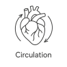 Fleur de Bach n°70 – Circulation & fluidité intérieure (anciennement « Trouble de la circulation »)