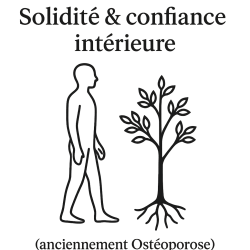 Fleurs de Bach n°209 – Solidité & confiance intérieure (anciennement Ostéoporose)
