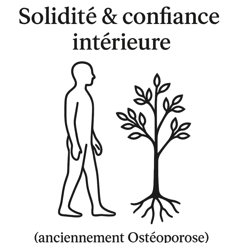 Fleurs de Bach n°209 – Solidité & confiance intérieure (anciennement Ostéoporose)