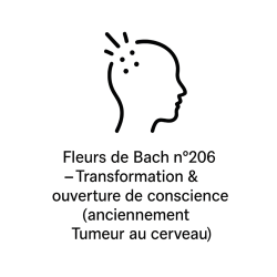 Fleurs de Bach n°206 – Transformation & ouverture de conscience (anciennement « Tumeur au cerveau »)