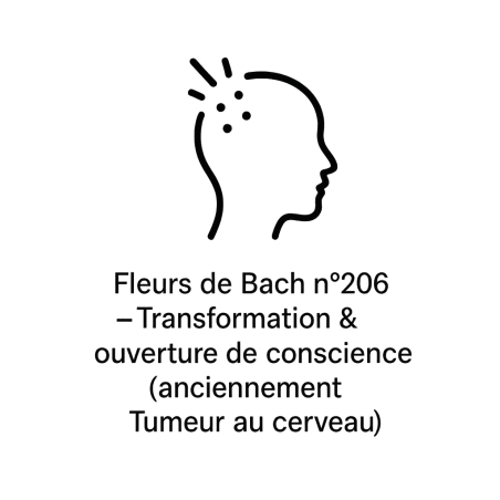 Fleurs de Bach n°206 – Transformation & ouverture de conscience (anciennement « Tumeur au cerveau »)
