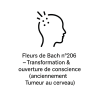 Fleurs de Bach n°206 – Transformation & ouverture de conscience (anciennement « Tumeur au cerveau »)