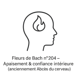 Fleurs de Bach n°204 – Apaisement & confiance intérieure (anciennement « Abcès du cerveau »)