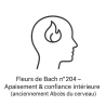 Fleurs de Bach n°204 – Apaisement & confiance intérieure (anciennement « Abcès du cerveau »)