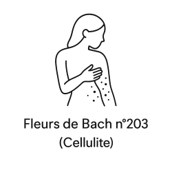 Fleurs de Bach n°203 – Acceptation du corps & légèreté intérieure (anciennement « Cellulite »)