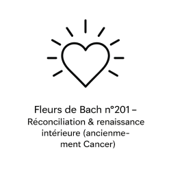 Fleurs de Bach n°201 – Réconciliation & renaissance intérieure (anciennement « Cancer »).
