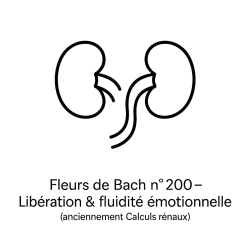 Fleurs de Bach n°200 – Libération & fluidité émotionnelle (anciennement « Calculs rénaux »).