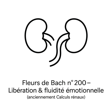 Fleurs de Bach n°200 – Libération & fluidité émotionnelle (anciennement « Calculs rénaux »).