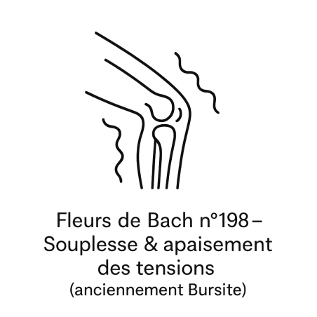 Fleurs de Bach n°198 – Souplesse & apaisement des tensions (anciennement « Bursite »)