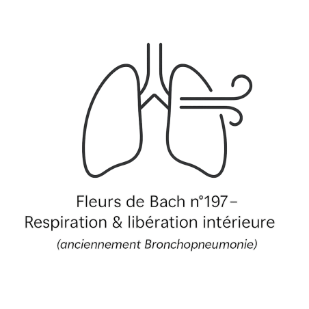 Fleurs de Bach n°197 – Respiration & libération intérieure (anciennement « Bronchopneumonie »)