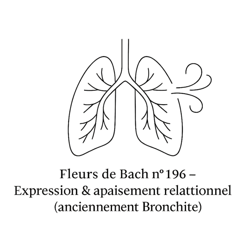 Fleurs de Bach n°196 – Expression & apaisement relationnel (anciennement « Bronchite »)