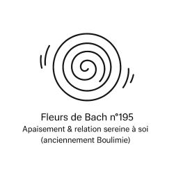 Fleurs de Bach n°195 – Apaisement & relation sereine à soi (anciennement « Boulimie »)