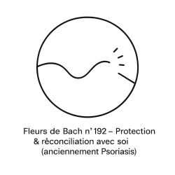 Fleurs de Bach n°192 – Protection & réconciliation avec soi (anciennement « Psoriasis »)