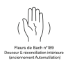 Fleurs de Bach n°189 – Douceur & réconciliation intérieure (anciennement « Automutilation »).