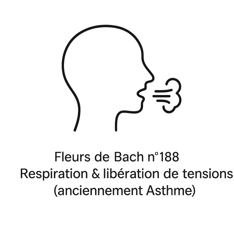 Fleurs de Bach n°188 – Respiration & libération des tensions (anciennement « Asthme »)