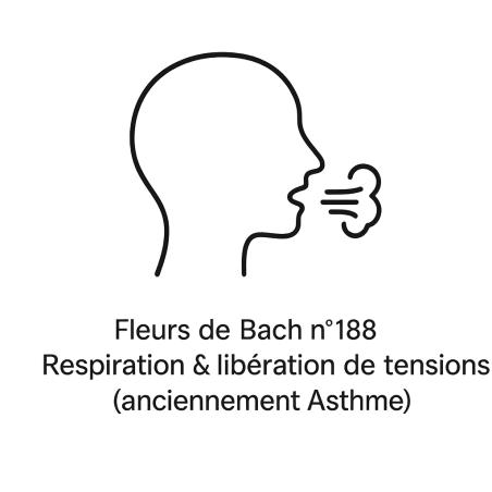 Fleurs de Bach n°188 – Respiration & libération des tensions (anciennement « Asthme »)