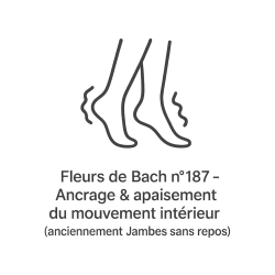 Fleurs de Bach n°187 – Ancrage & apaisement du mouvement intérieur (anciennement « Jambes sans repos »)