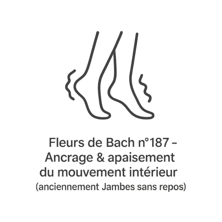 Fleurs de Bach n°187 – Ancrage & apaisement du mouvement intérieur (anciennement « Jambes sans repos »)