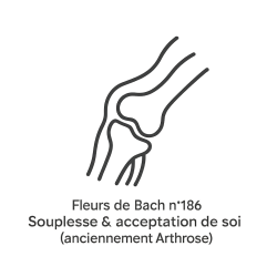 Fleurs de Bach n°186 – Souplesse & acceptation de soi (anciennement « Arthrose »)