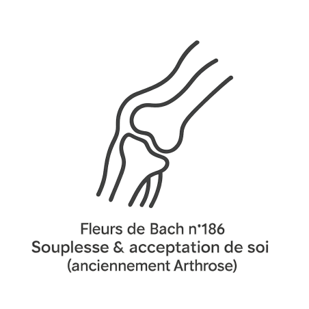 Fleurs de Bach n°186 – Souplesse & acceptation de soi (anciennement « Arthrose »)