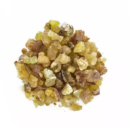 OLIBAN DE SOMALIE 50 G LES ENCENS DU MONDE