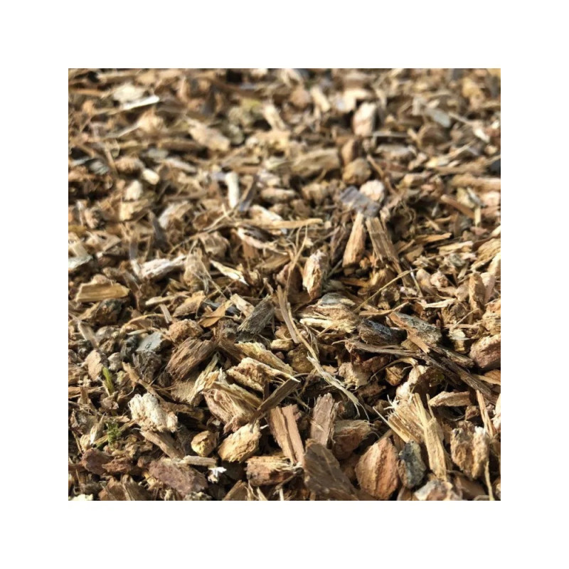 AUBIER DE CHENE 100GR