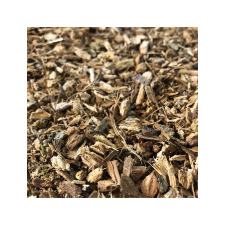 AUBIER DE CHENE 100GR