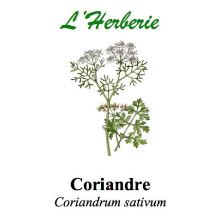 CORIANDRE 100GR