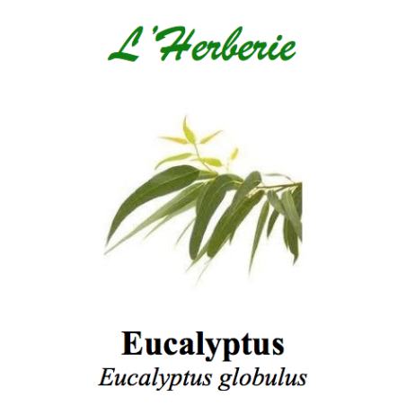 EUCALYPTUS CP 100GR