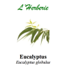 EUCALYPTUS CP 100GR