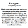 EUCALYPTUS CP 100GR