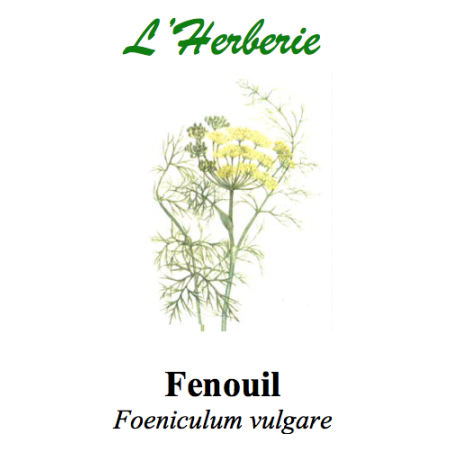 FENOUIL GRAINES 100GR digestion lente pénible aérophagie