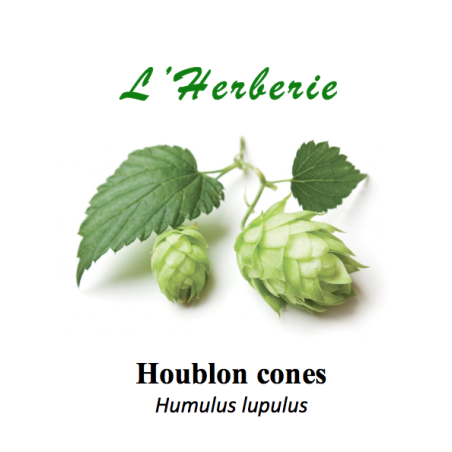 HOUBLON CONES 100GR