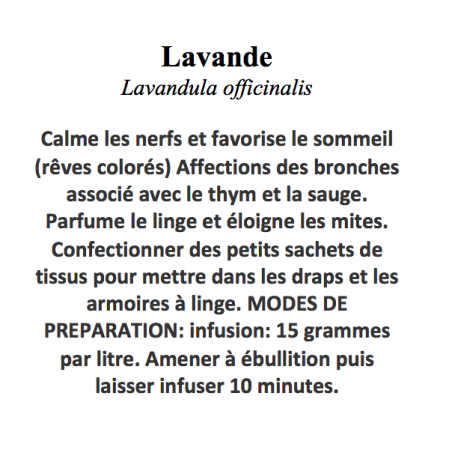 LAVANDE FLEURS 100GR
