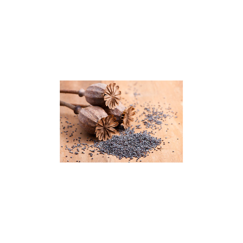 PAVOT SEMENCE 100GR