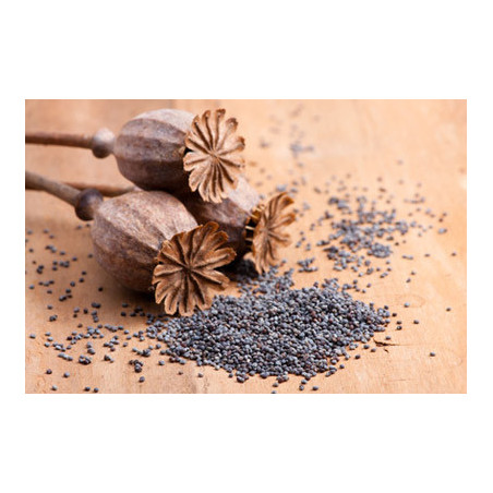 PAVOT SEMENCE 100GR