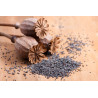 PAVOT SEMENCE 100GR