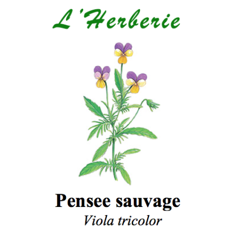 PENSE SAUVAGE 100GR