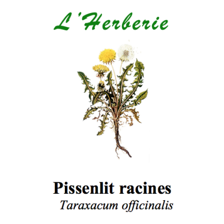 PISSENLIT RACINE  100GR