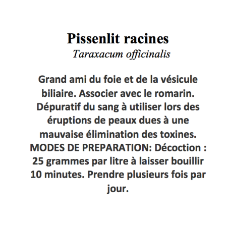 PISSENLIT RACINE  100GR