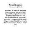 PISSENLIT RACINE  100GR