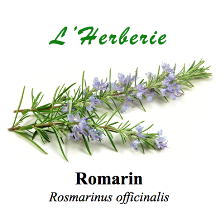 ROMARIN 100GR